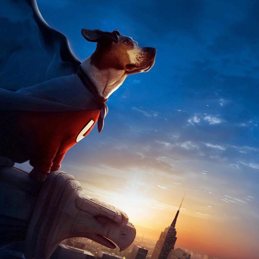 Underdog Fan Token Image